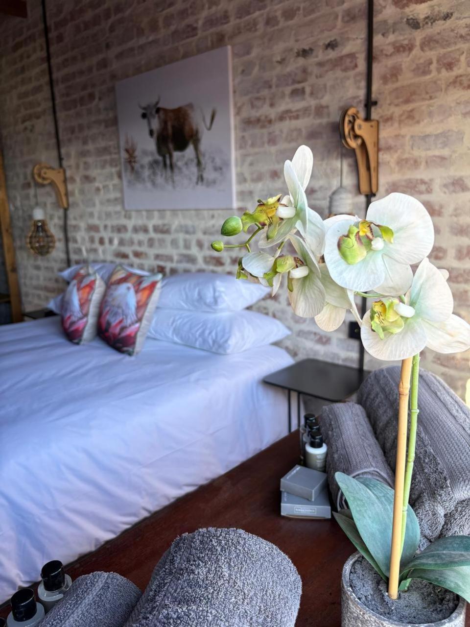 Eccentric Heritage Paradise * Simon's Town